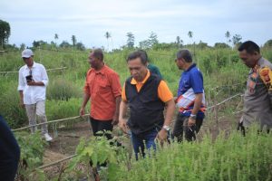 Kunker PJ Bupati, diskusi dengan petani