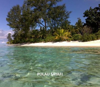 Pulau Sayafi