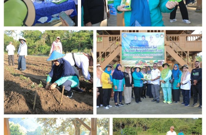 TP-PKK dan DWP Dinas pertanian Halmahera Tengah Gelar Kegiatan Penanaman Jagung dan Tomat.