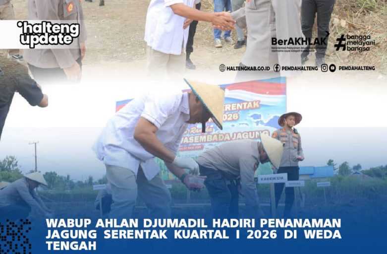 WABUP AHLAN DJUMADIL HADIRI PENANAMAN JAGUNG SERENTAK KUARTAL I 2026 DI WEDA TENGAH