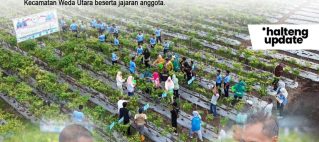 PEMDA HALTENG: BUPATI DAN WAKIL BUPATI PANEN CABAI DI KEBUN PERCONTOHAN TP-PKK WEDA UTARA